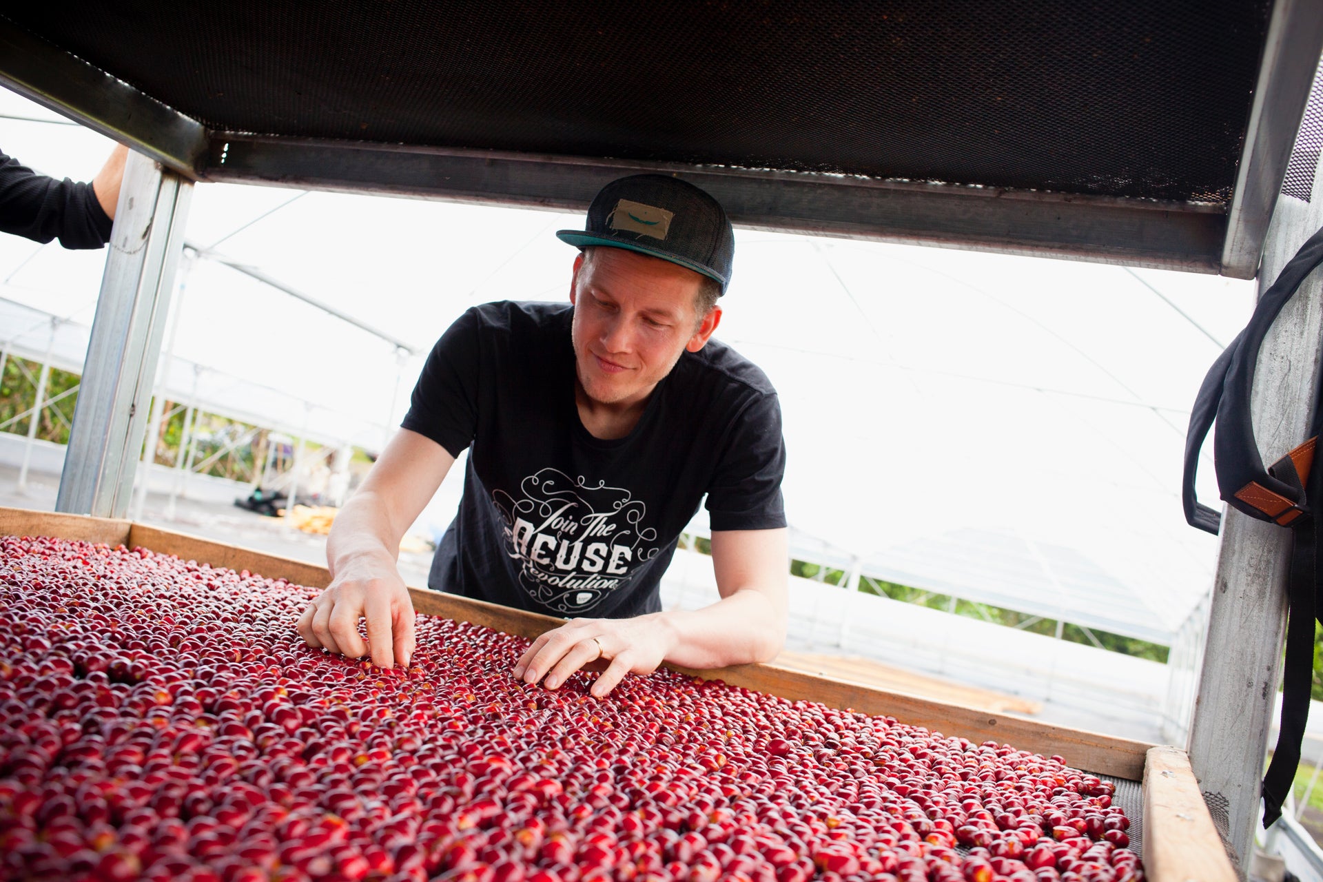 Ninety Plus Thermolic Red Room Gesha Panama