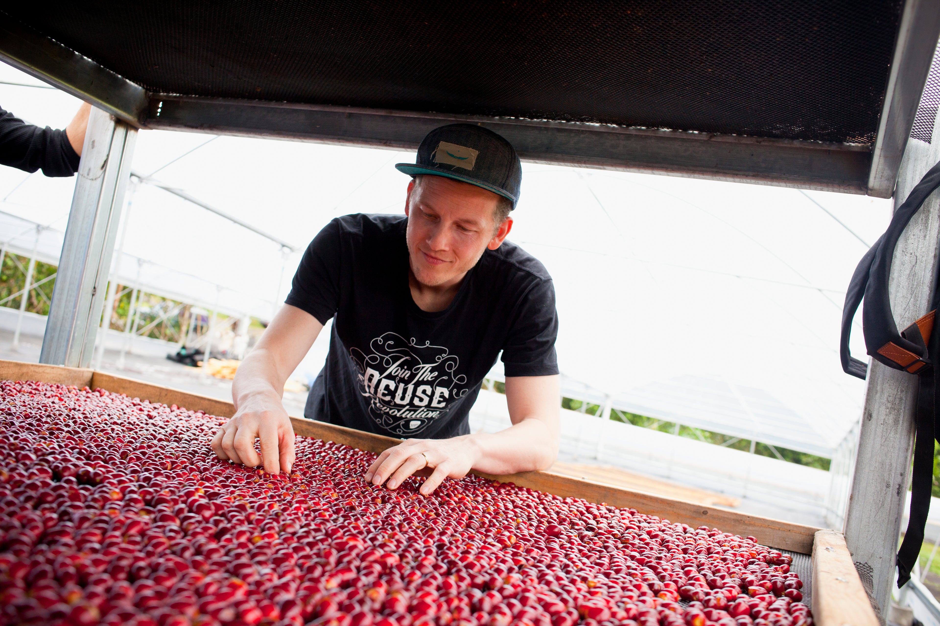 Ninety Plus Criolic Folio™ Red Gesha Panama