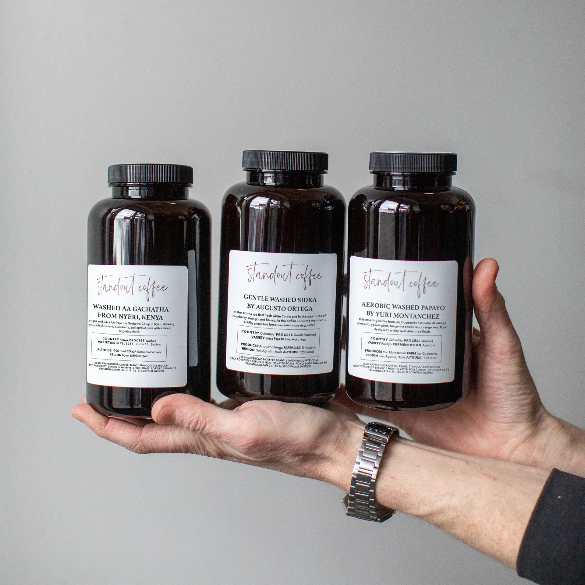 Standout Specialty Coffee Subscription