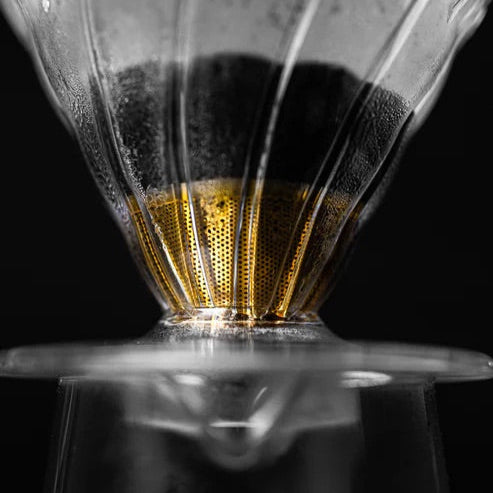 specialty coffee