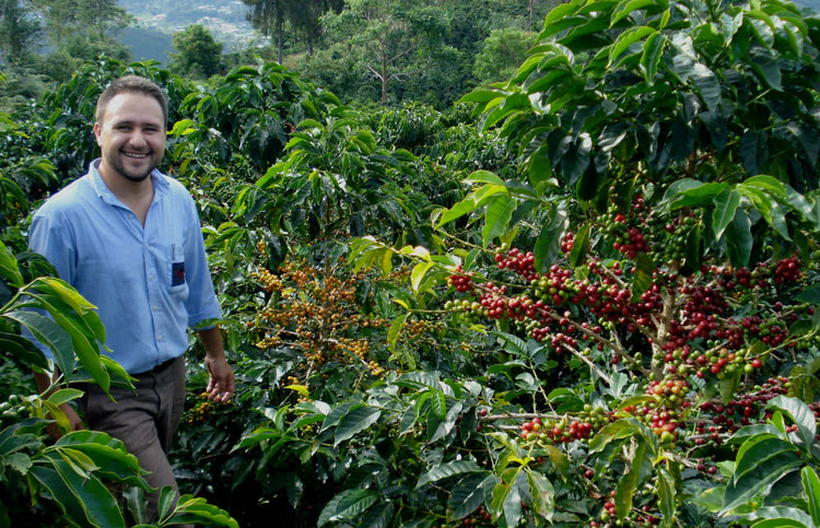 specialty coffee