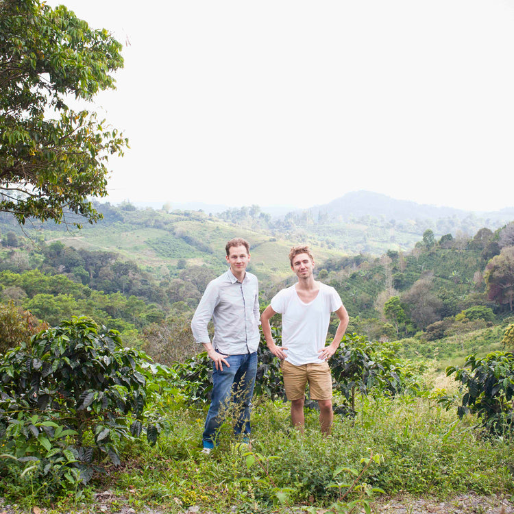 specialty coffee