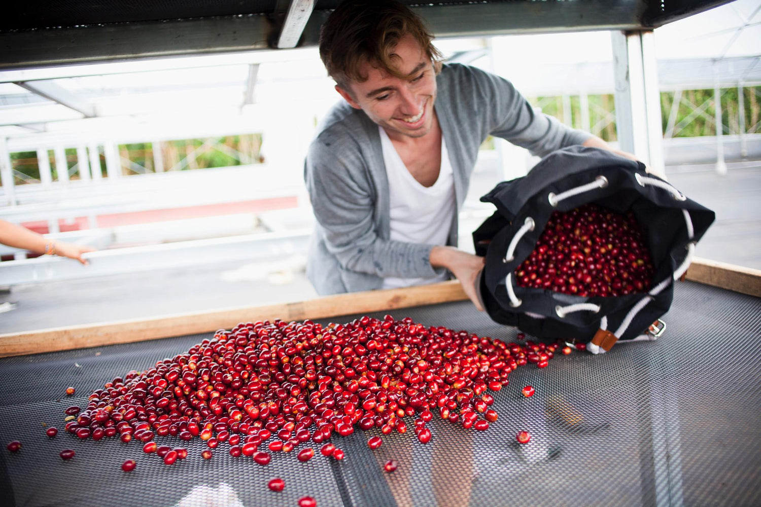 Competition Coffee Subscription