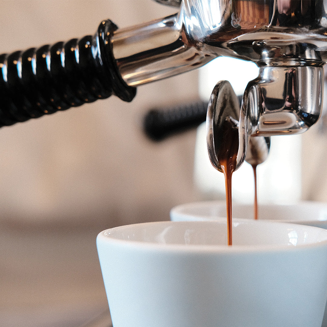 Standout Signature Espresso