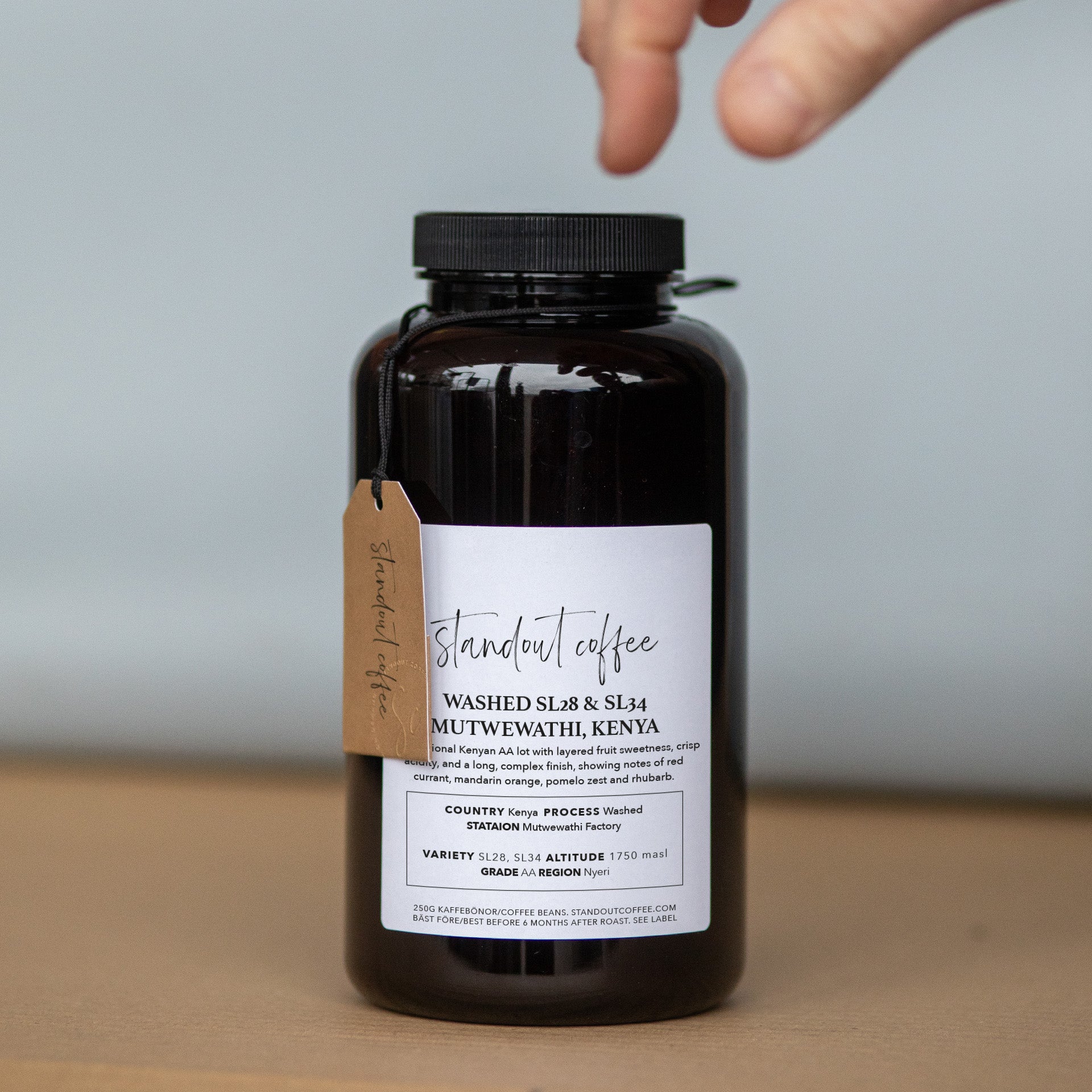 Washed SL28 & SL34 – Mutwewathi, Kenya