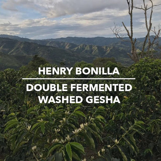 Henry Bonilla Colombia Double Fermented Washed Gesha - Colombia - Standout Coffee