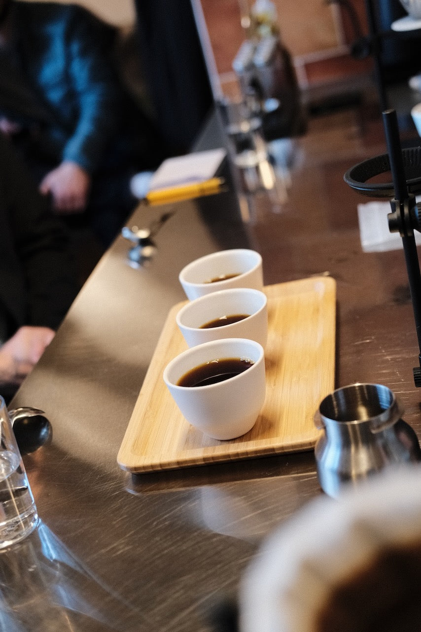 Standout Coffee Brewing Competition