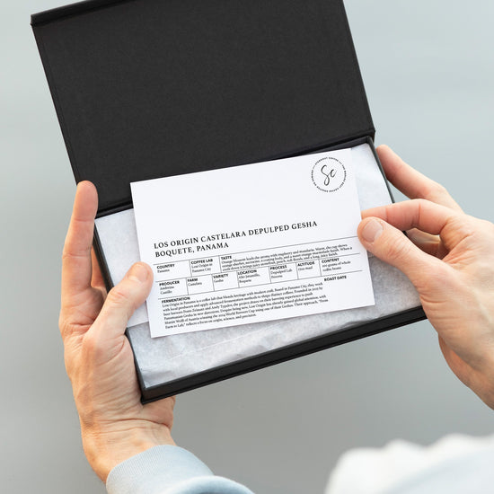 Lost Origin Castelara Depulped Gesha  Boquete, Panama