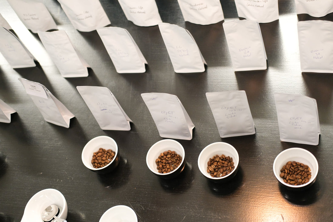 Coffee tastings | Now open for bookings - Standout Coffee