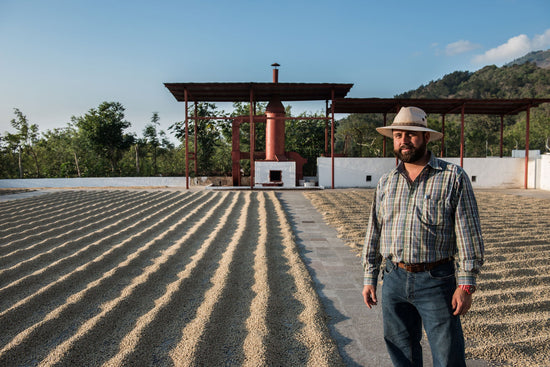 Exclusive December Subscription Release: Finca Agua Tibia Gesha Micro-Lot - Standout Coffee