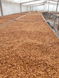 24h Anaerobic Honey SL-28 – Finca Maputo, Ecuador