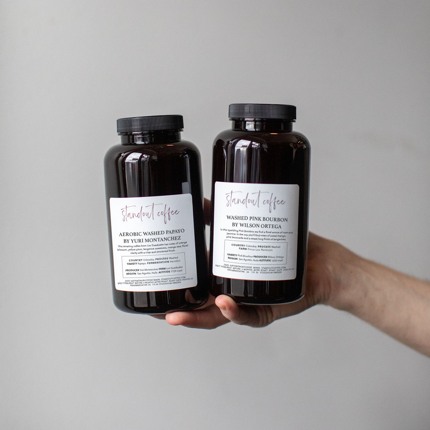 Standout Specialty Coffee Subscription