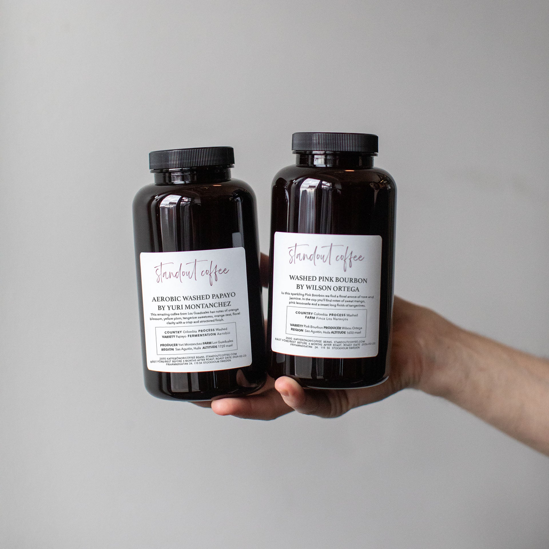 Standout Specialty Coffee Subscription