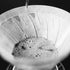 specialty coffee