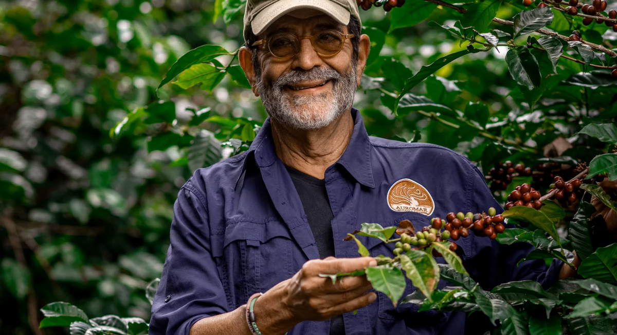 Finca Auromar Catalina Natural Gesha by Roberto Brenes, Panama