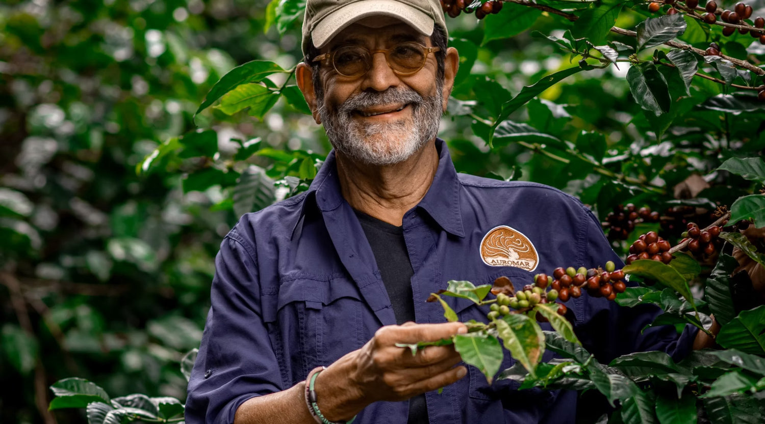 Standout Competition Coffee Subscription