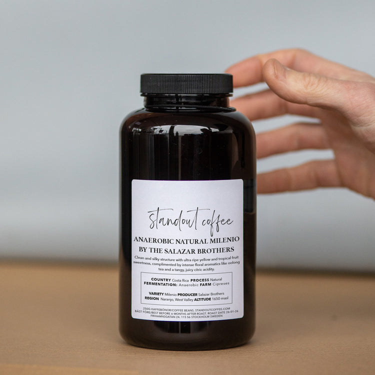 Latest Arrivals - Discover the Newest Coffee Experiences