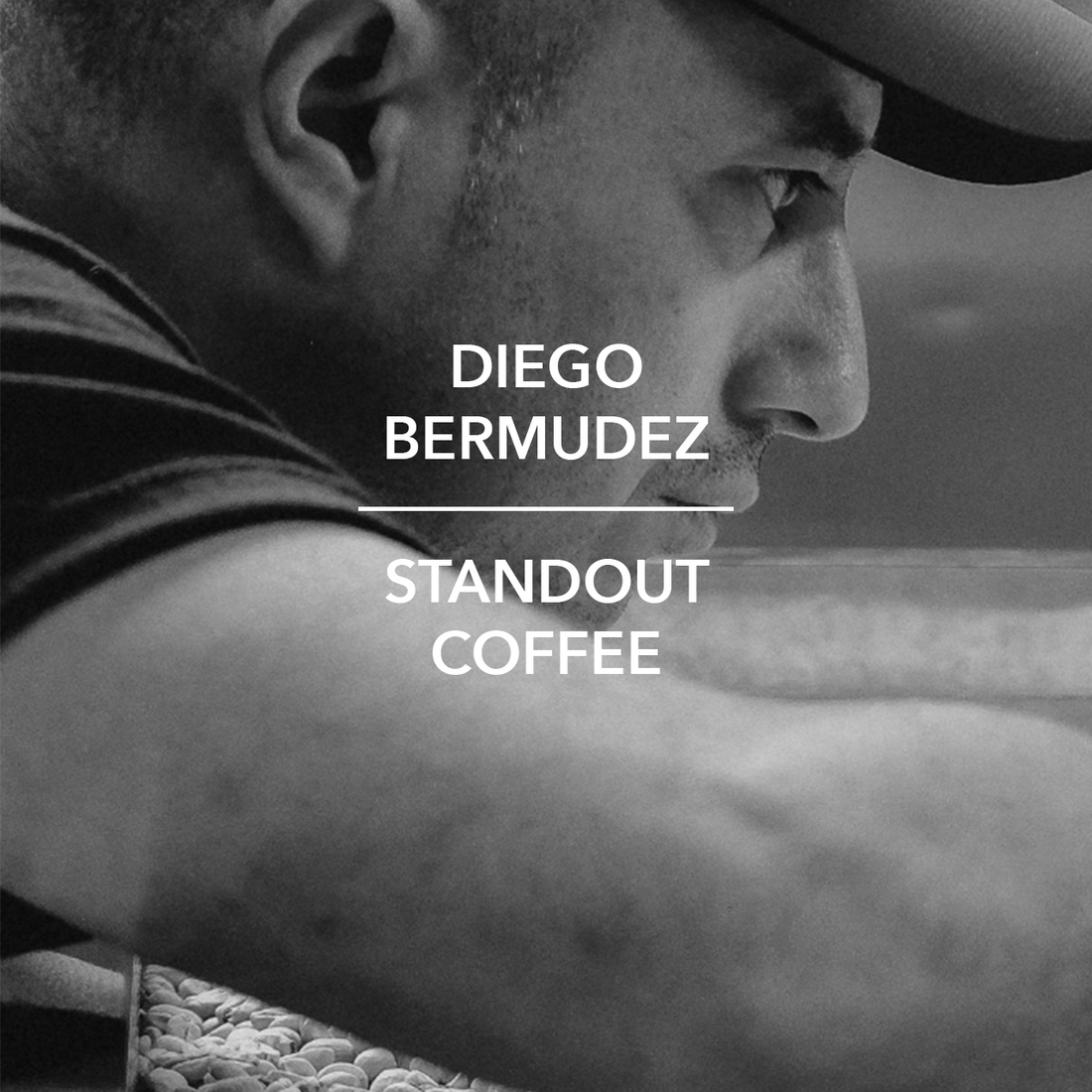 Hachi Project Kasho Washed Gesha by Diego Bermudez Colombia