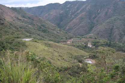 Finca Eliza Washed Green Tip Gesha by Martin Kutsch, Loja, Ecuador