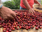 specialty coffee