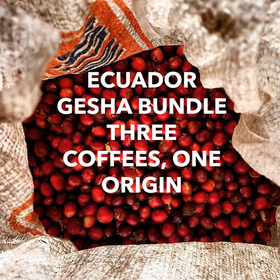 specialty coffee
