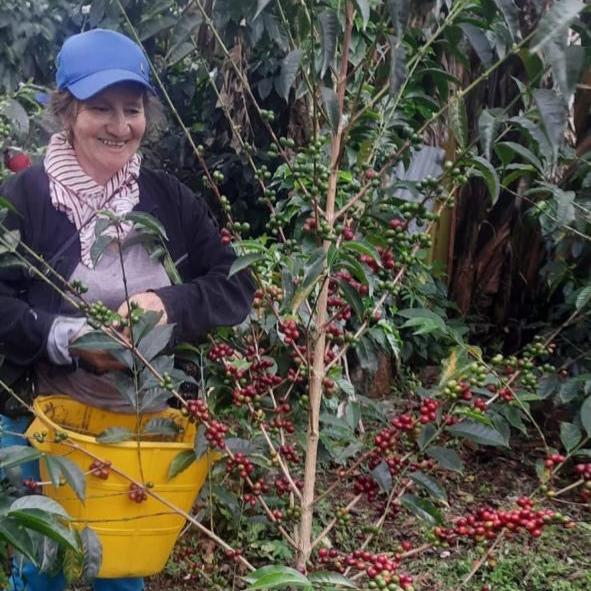 specialty coffee