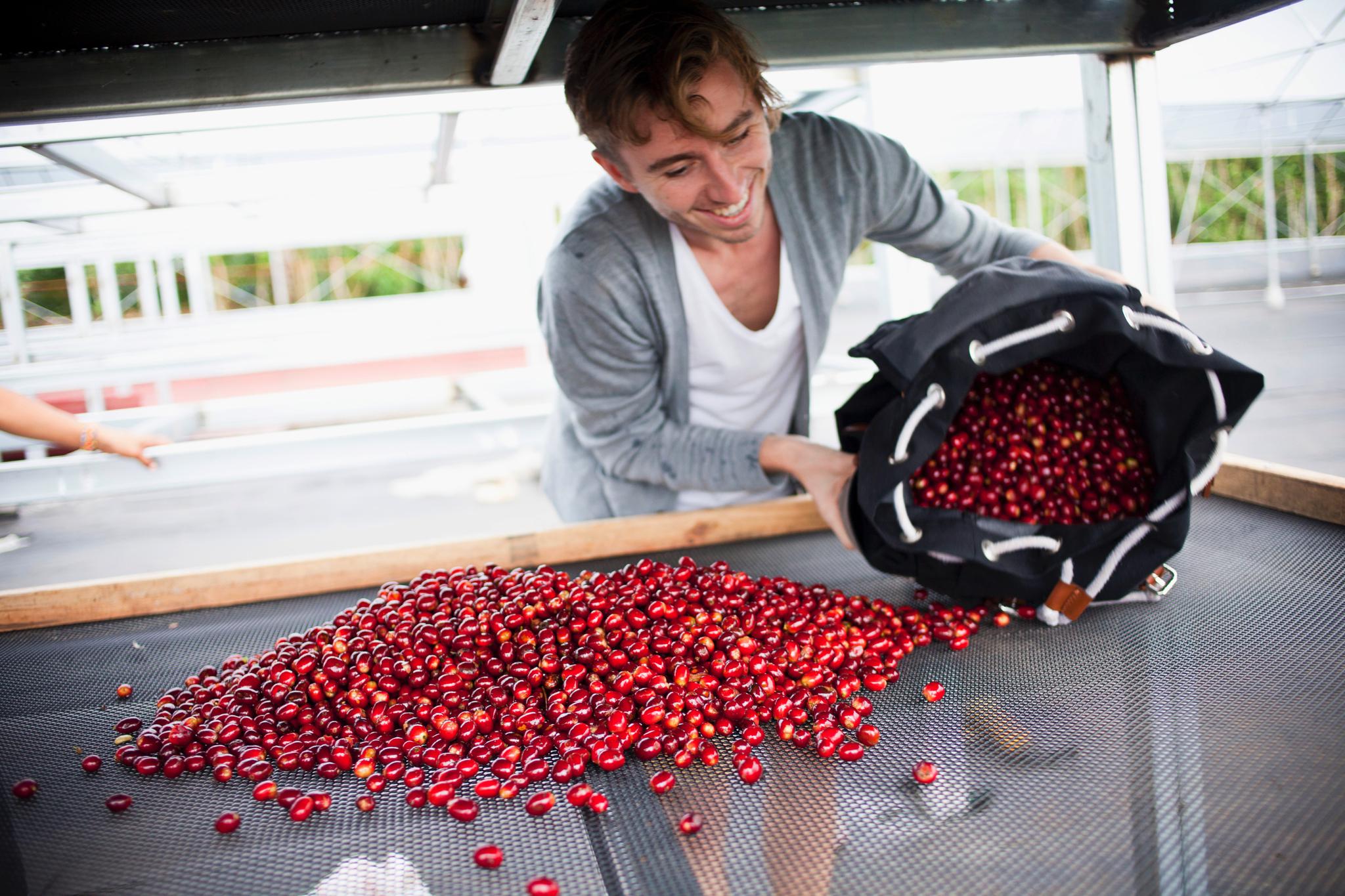 Competition Coffee Subscription