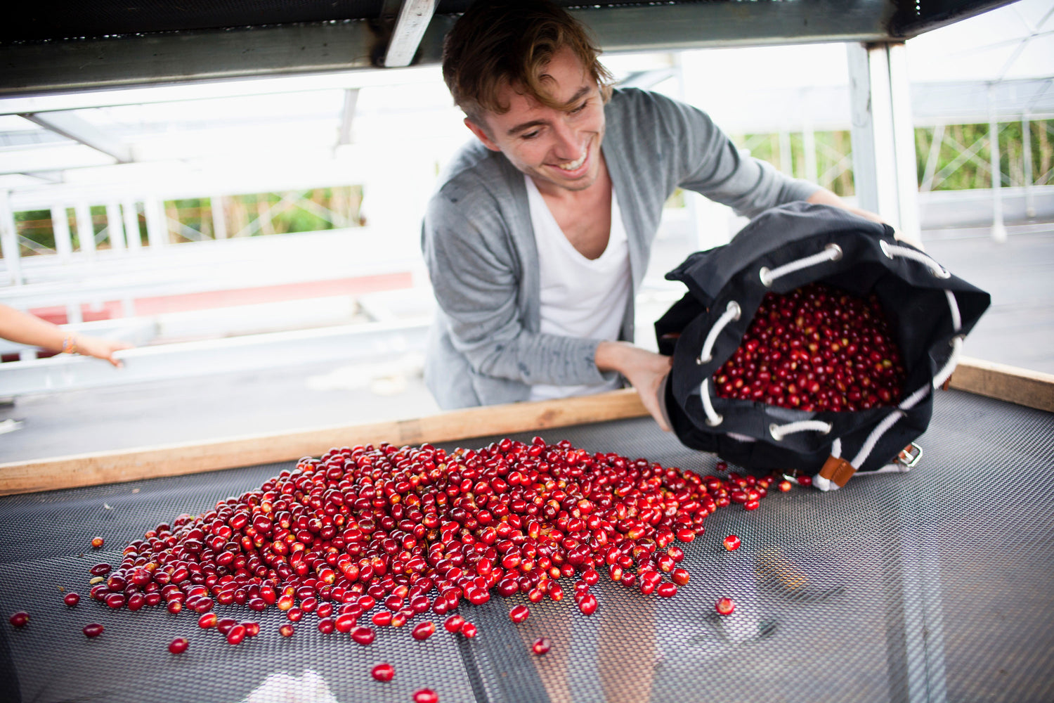 Ninety Plus Thermolic Red Room Gesha Panama