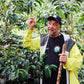C.G.L.E Anaerobic Natural – Rigoberto Herrera, Colombia
