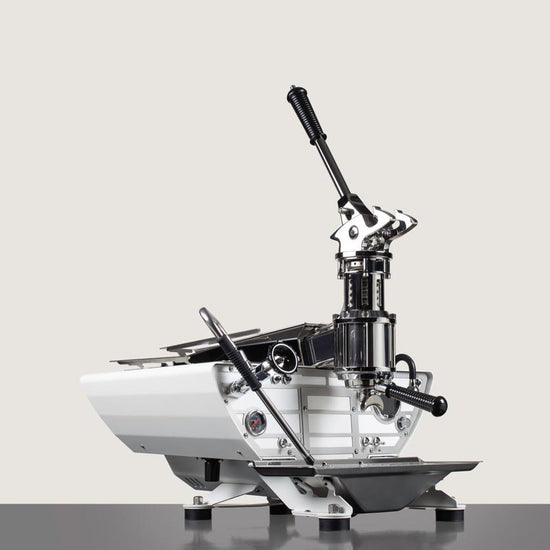 specialty coffee