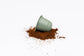 specialty coffee