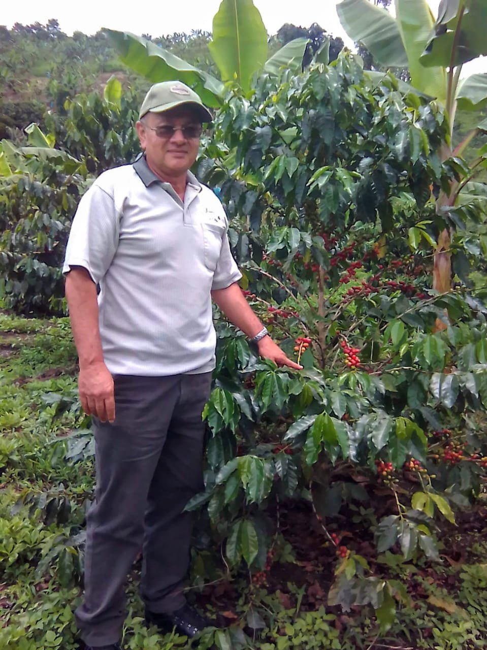 Colombia Jairo Lopez Chilled Anaerobic Natural Gesha - Standout Coffee