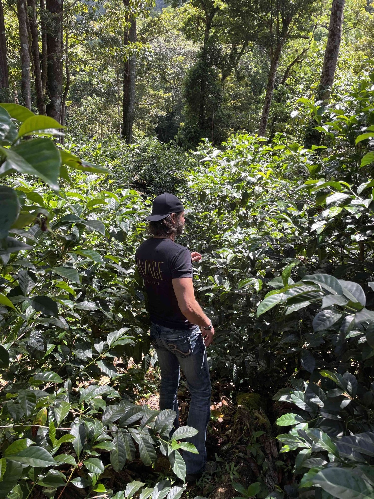 Panama Enigma Iris Estate Jamison Savage Natural Extended Carbonic Macerated Gesha - Standout Coffee